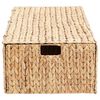 vidaXL Caja de Almacenamiento Natural 75 x 42 x 23 cm Jacinto de agua