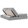 vidaXL Cama con almacenamiento y colch&oacute;n Gris Claro 200 x 200 cm