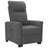 vidaXL Sill&oacute;n elevable tela gris oscuro
