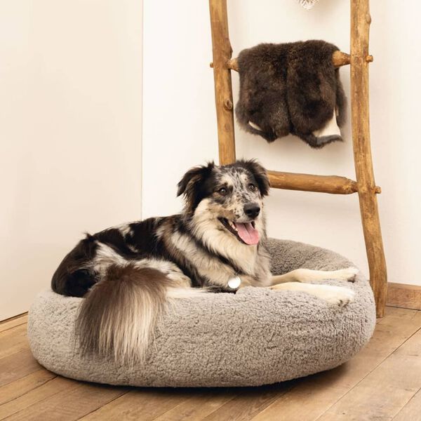 Beeztees Cama para perros de espuma viscoel&aacute;stica Jaxx gris 50x20 cm