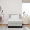 vidaXL Cama tipo Box Spring Gris claro 100 x 200 cm Terciopelo