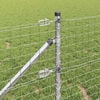 Imagen en miniatura del producto 4 de 11