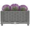 Imagen en miniatura del producto 6 de 8