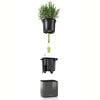 LECHUZA Jardineras 3 uds. Green Wall Home Kit gris antracita brillante