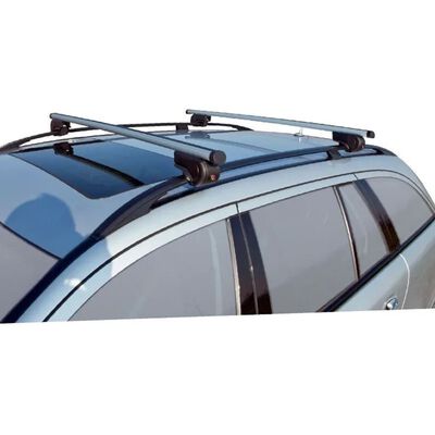 Twinny Load Portaequipajes de techo coche universal U01 aluminio