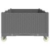 vidaXL Jardinera con ruedas PP gris claro 150x80x54 cm