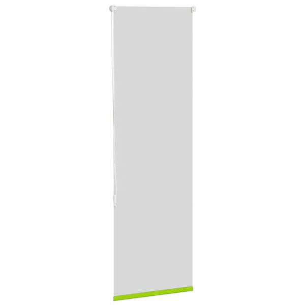 vidaXL Estor Enrollable Opaco hojas verde 40x150 cm Tela Ancho 35,7 cm