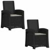 vidaXL Sill&oacute;n de jard&iacute;n reclinable imitaci&oacute;n rat&aacute;n 2 pcs