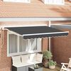 vidaXL Toldo Retr&aacute;ctil Manual Antracita 300 x 200 cm Poli&eacute;ster y metal