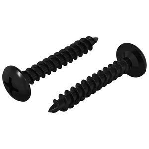 vidaXL Clavo autorroscante 2 pcs Negro 4 x 25 mm Acero