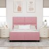 vidaXL Cama tipo Box Spring con cabecera Rosa 160 x 200 cm Terciopelo