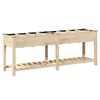vidaXL Macetero de Jard&iacute;n Beige 203,5 x 53 x 76,5 cm