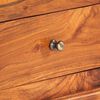 vidaXL Mueble de TV de madera maciza de acacia 120x30x40 cm