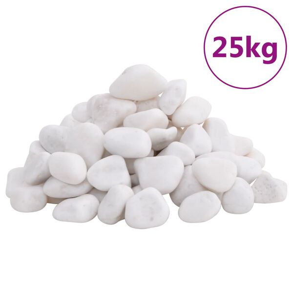 vidaXL Guijarros pulidos blancos 25 kg 2-5 cm
