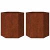 vidaXL Jardineras hexagonales 46x40x45 cm acero desgastado