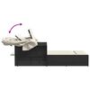 vidaXL Tumbona doble con capota y cojines rat&aacute;n sint&eacute;tico negro
