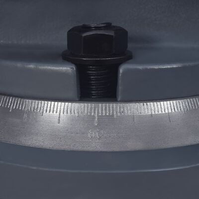 vidaXL Tornillo de banco giratorio hierro fundido 100 mm