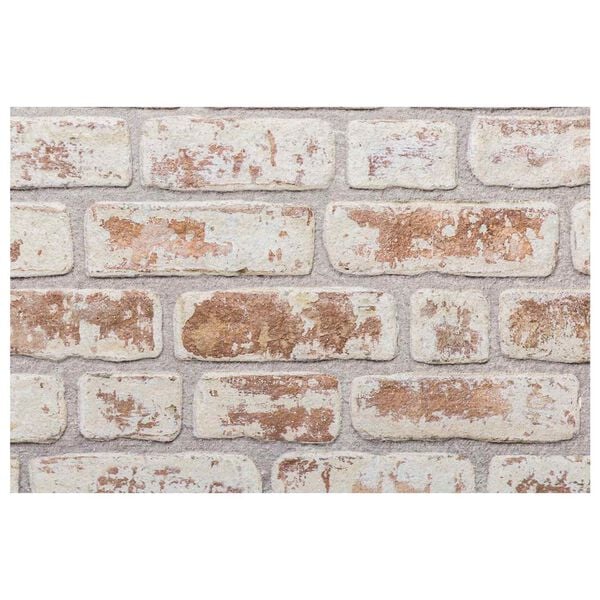 vidaXL Paneles de pared 10 pcs Rojo y 100 x 50 cm Espuma EPS