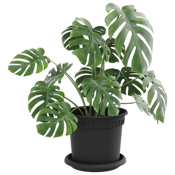 Mostrando imagen del producto 3 de 12