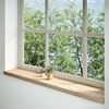 vidaXL Alf&eacute;izares de ventana 2 uds madera maciza roble sin tratar