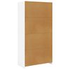 vidaXL Armario de madera contrachapada blanco 100x50x200 cm