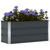 vidaXL Jardinera Antracita 100 x 40 x 45 cm Acero