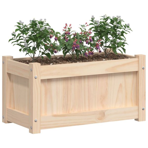 vidaXL Jardinera de madera maciza de pino 60x31x31 cm