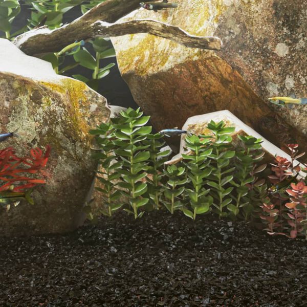 Mostrando imagen del producto 2 de 5