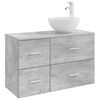 vidaXL Juego de muebles de ba&ntilde;o 2 uds. Gris Hormig&oacute;n