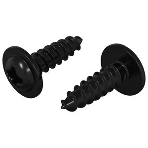 vidaXL Clavo autorroscante 2 pcs Negro 3,5 x 12 mm Hierro