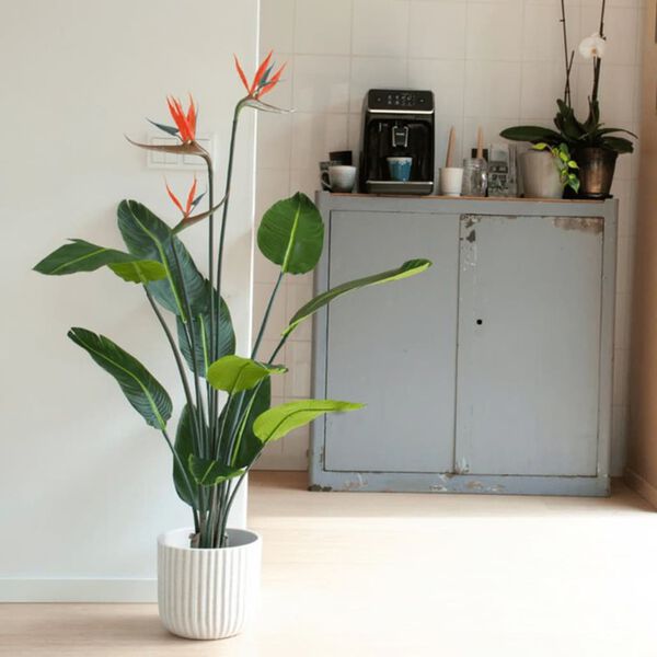 Emerald Planta artificial Strelitzia con maceta y flores 120 cm