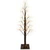 Brown_warm_white