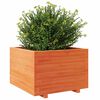 vidaXL Jardinera madera maciza de pino marr&oacute;n cera 70x70x49,5 cm