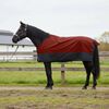 vidaXL Manta para Caballo Verde Oscuro y Negro 75 cm Poli&eacute;ster