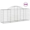 vidaXL Cestas de gaviones 40 uds forma de arco hierro 200x50x80/100 cm