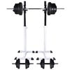 vidaXL Soporte de pesas con pesas y mancuernas 60,5 kg