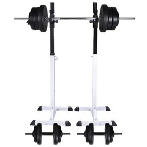 vidaXL Soporte de pesas con pesas y mancuernas 60,5 kg