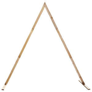 vidaXL Arco de Boda Marr&oacute;n Claro 202 x 95 x 254 cm