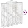 vidaXL Cestas de gaviones 2 uds forma de arco hierro 200x50x200/220 cm