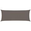 vidaXL Toldo de vela gris antracita HDPE 160 g/m&sup2; 2x4,5 m