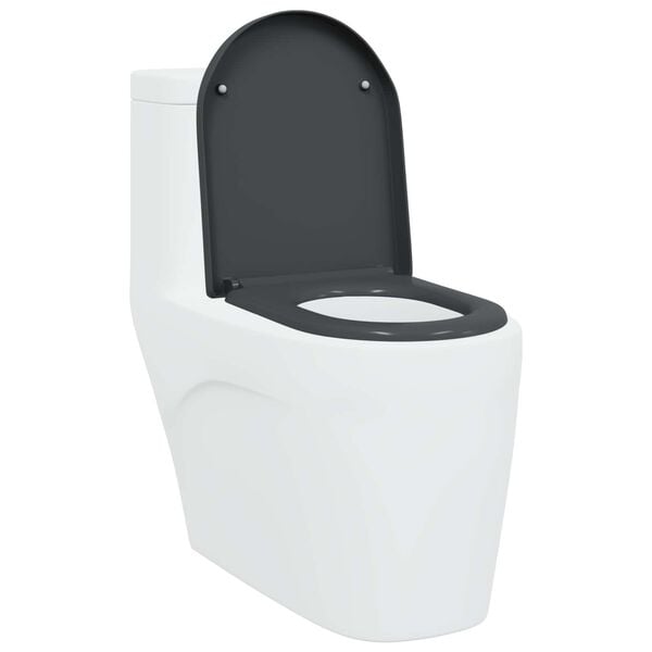vidaXL Asiento de WC Antracita 46,2 x 36 x 4,3 cm Duroplast