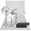 vidaXL Kit de estudio fotogr&aacute;fico con set de luces y fondo