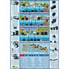 Imagen en miniatura del producto 3 de 4