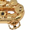 vidaXL Saxof&oacute;n alto amarillo lat&oacute;n con lacado de oro Eb