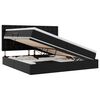 vidaXL Cama con almacenamiento y LED con colch&oacute;n Negro 200 x 200 cm