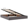 vidaXL Cama con almacenamiento y LED Gris 160 x 200 cm Cuero sint&eacute;tico