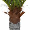 vidaXL Palmera artificial con 12 hojas verde 150 cm