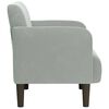 vidaXL Sill&oacute;n con reposabrazos Terciopelo Gris Claro 54 cm