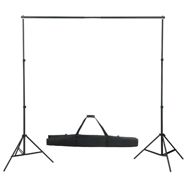 vidaXL Kit de estudio fotogr&aacute;fico con set de luces y fondo