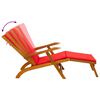 vidaXL Recliner y tumbona plegable 2 pcs Rojo 55 x 146 x 91 cm